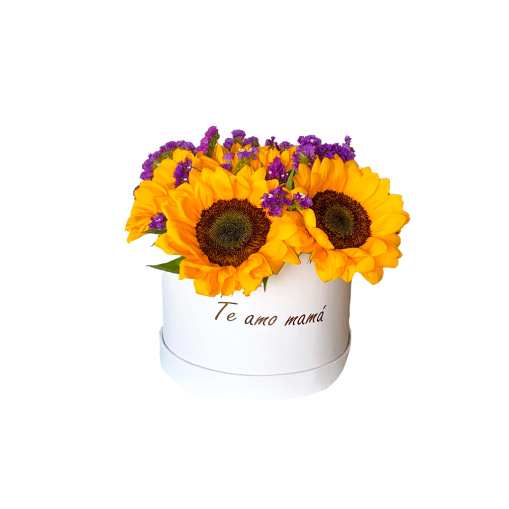 Box Girasoles