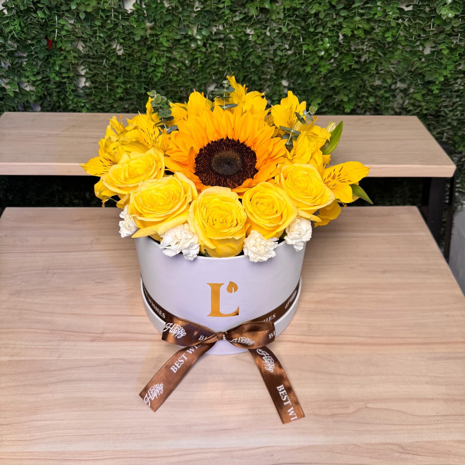 Box amarillo premium