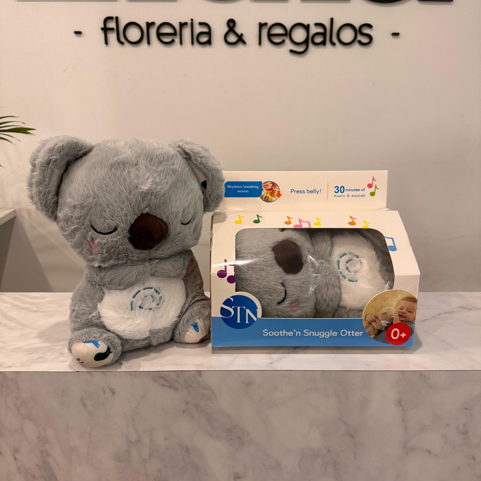 Koala que respira