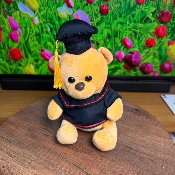 oso de graduación 27cm