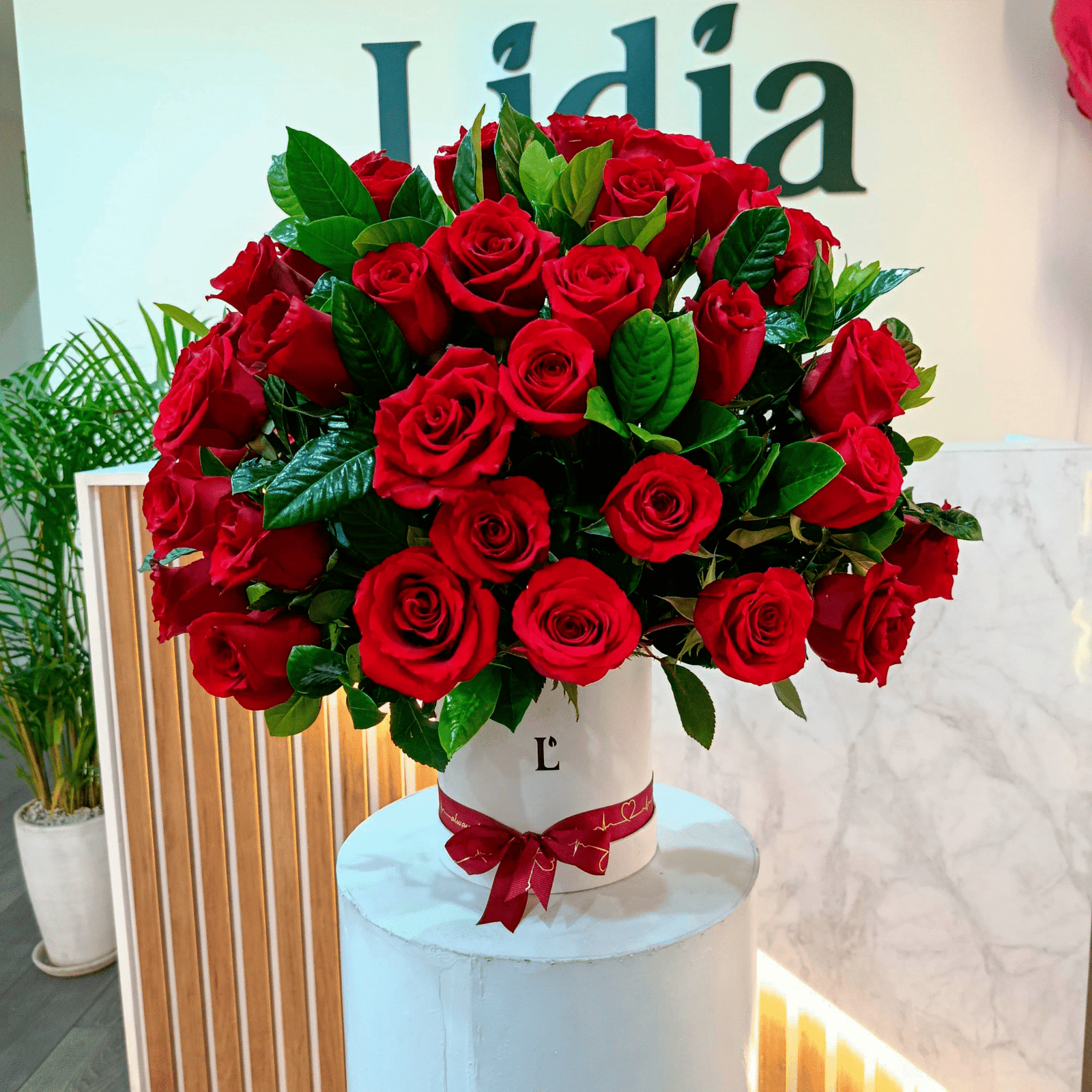Box Lidia Deluxe
