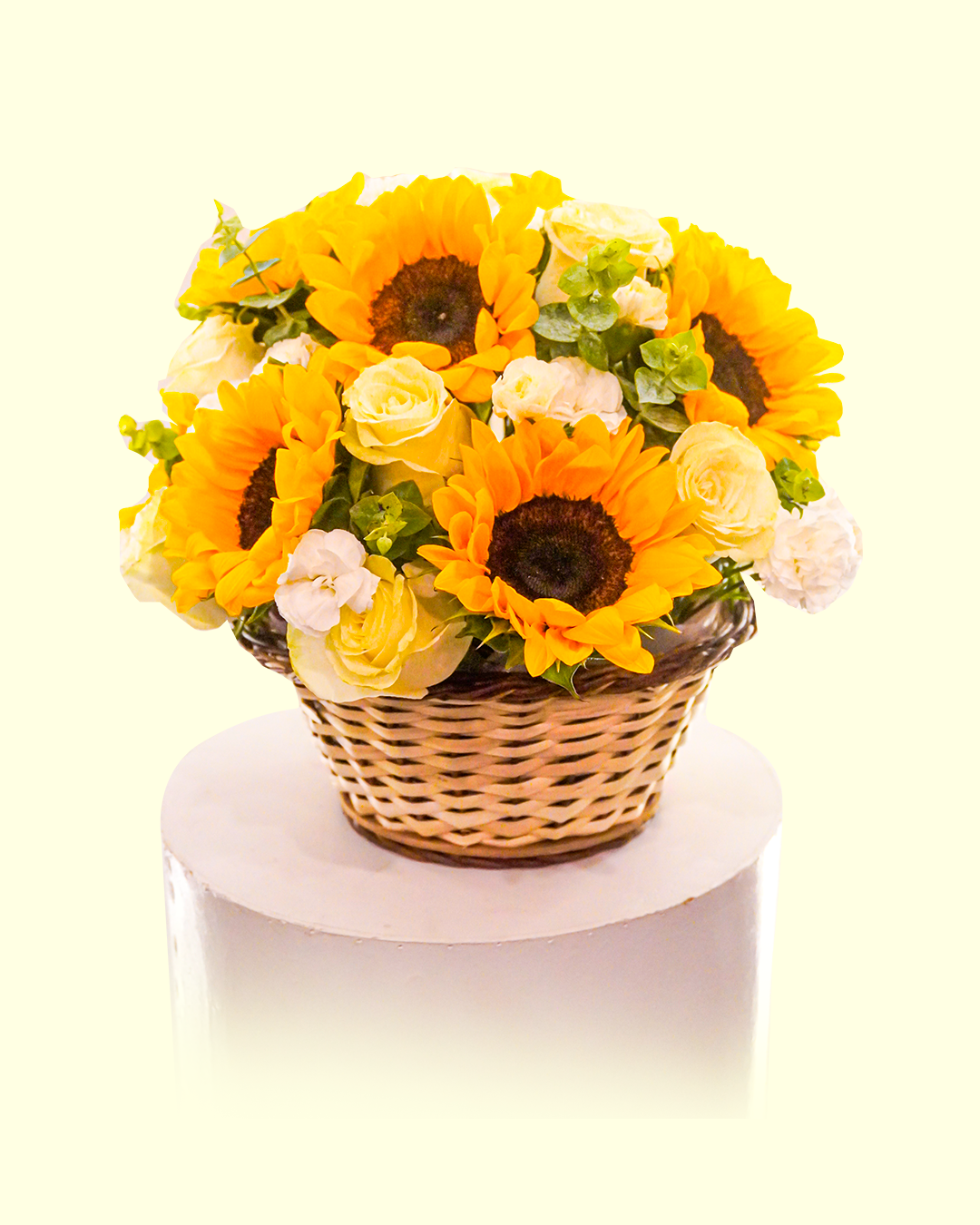 Canasta 360° Radiante