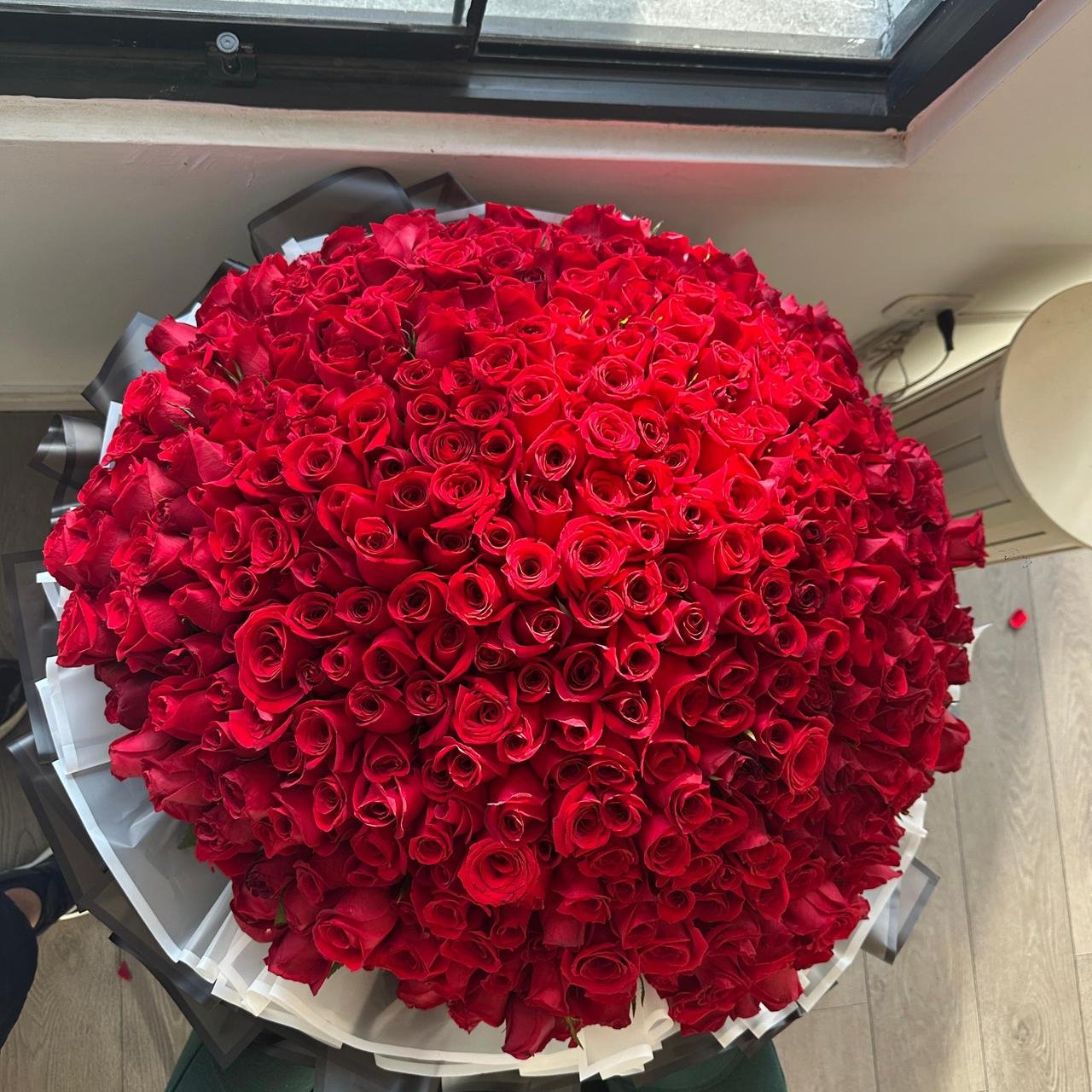 500 ROSAS ROJAS - Imagen 3