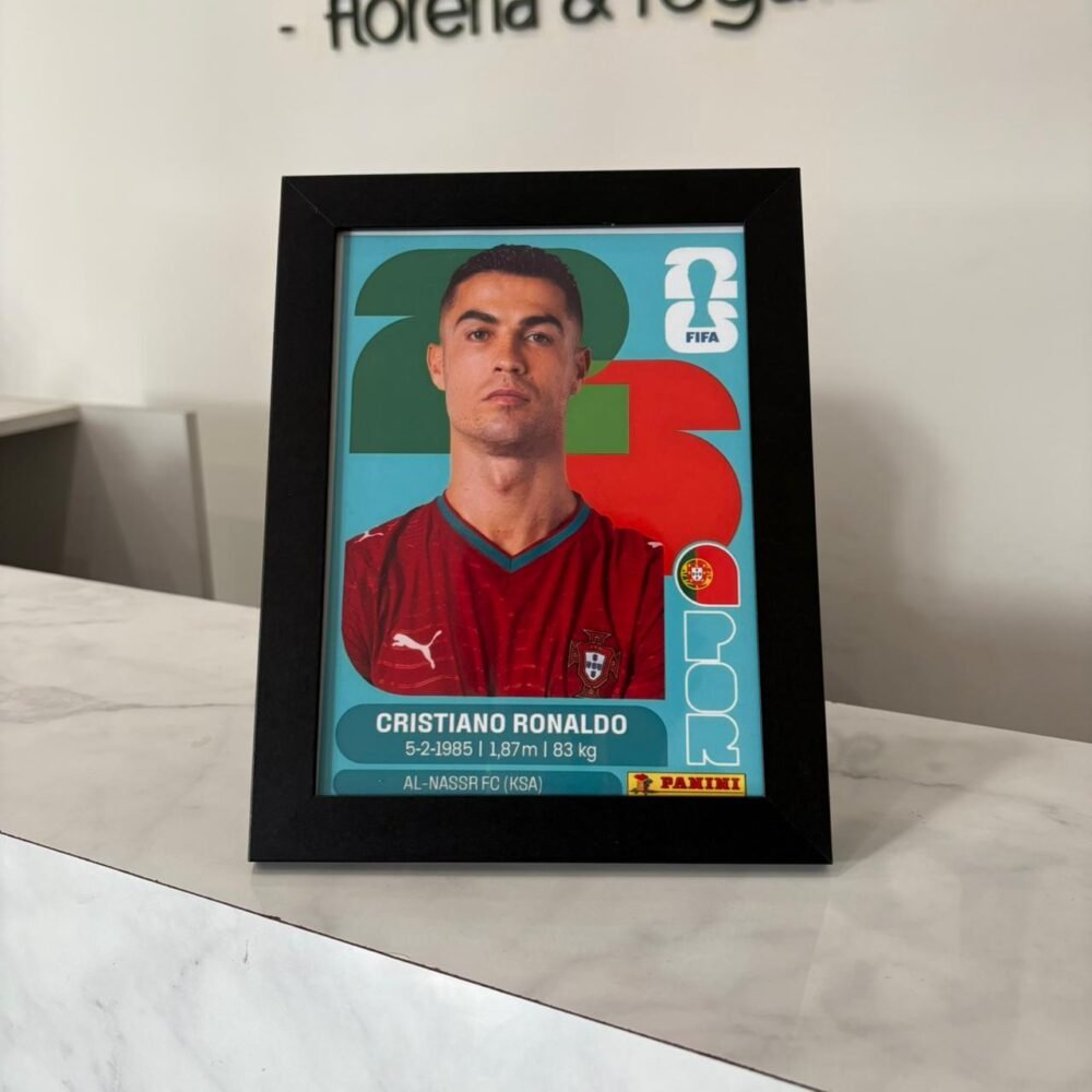 Cuadro Jugador del Mundial Vip